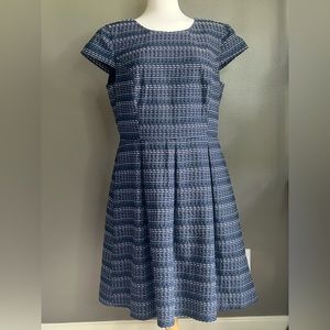 Liz Claiborne |Size 16  Navy & White Fit & Flare Dress